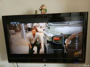 国产c视频,探索中国创意产业的无限可能